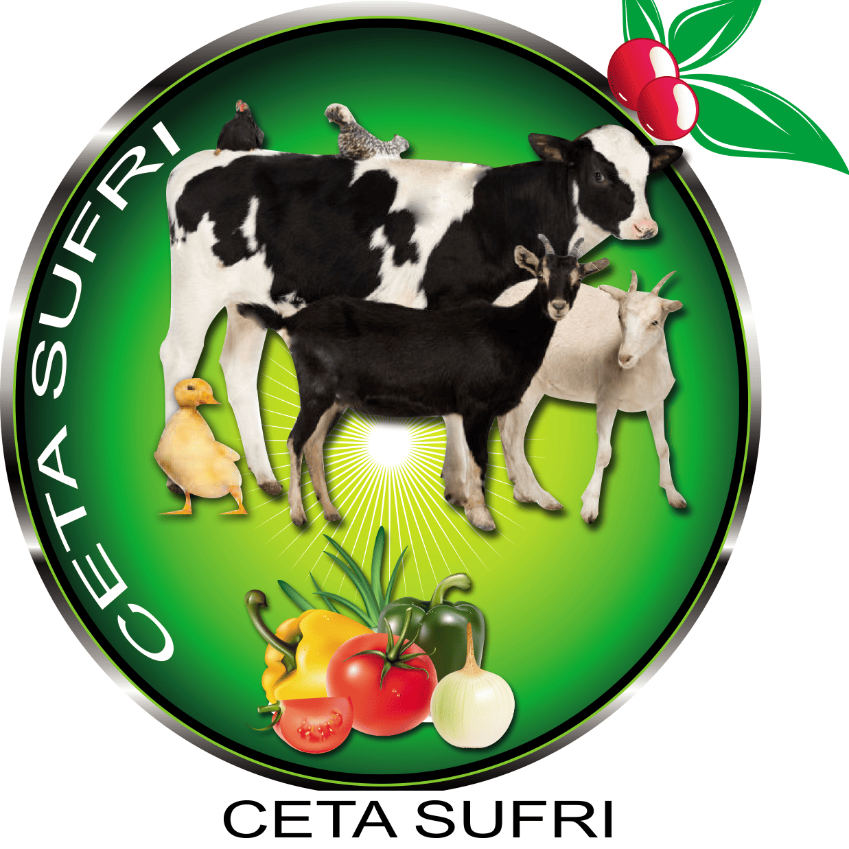 Ceta Sufri